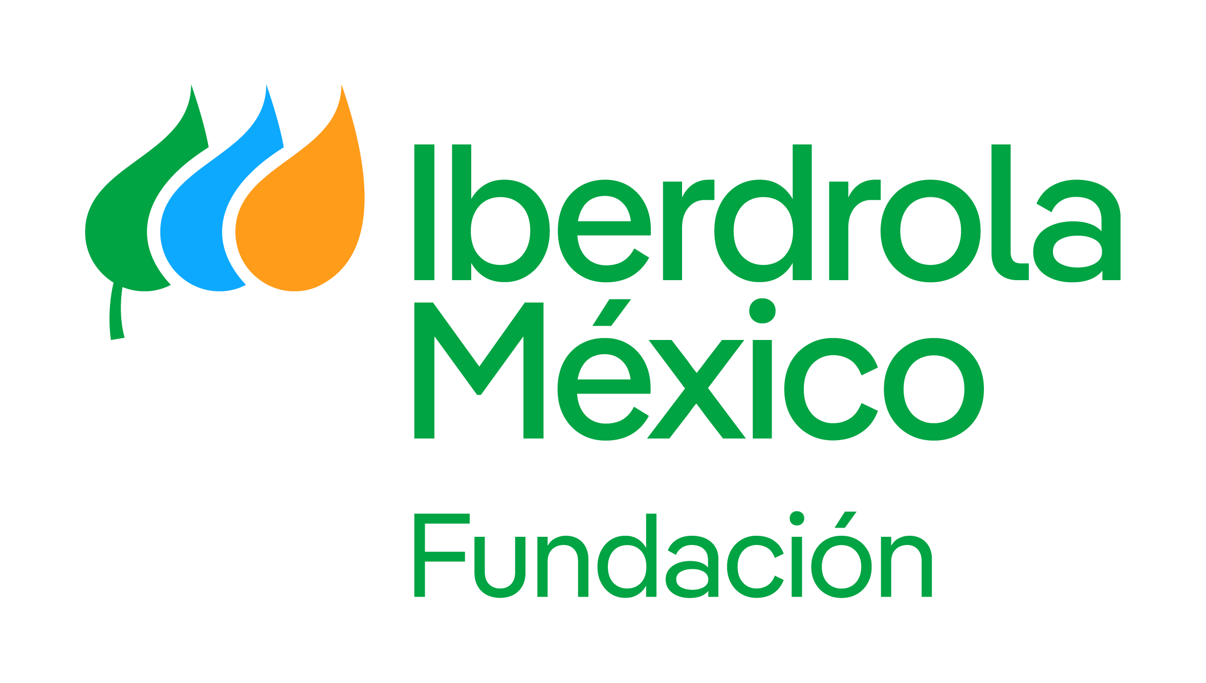 Fundación Iberdrola México
